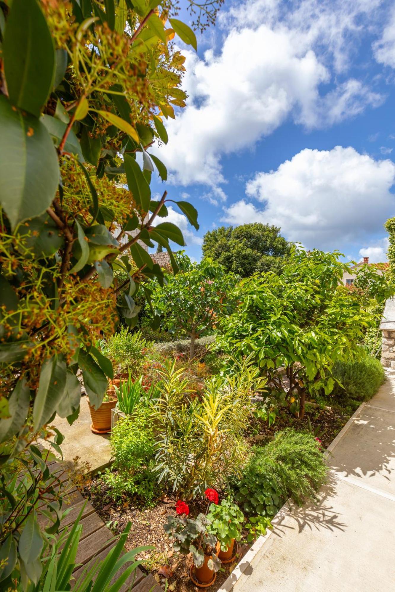 Art Gateway Apartment Dubrovnik
